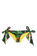 Jungle|