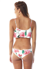 Pink Cream|Alyson